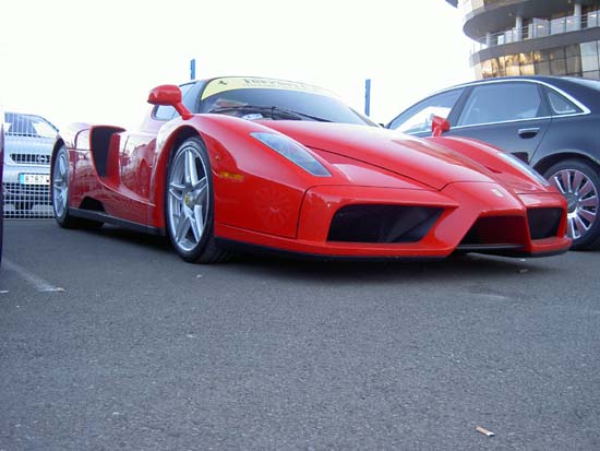 Pict2583_enzo2