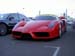 Pict2582_enzo1